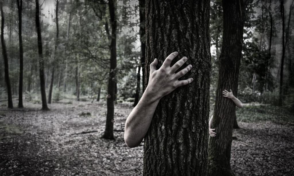 Zombie Fungus Spreads in the U.S… The cause is climate change?